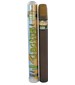 Cuba Paris Cuba Cactus for Men