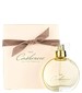 Next Cashmere