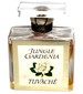 Jungle Gardenia