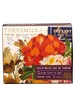 Tokyo Milk Parfumarie Curiosite Modern Love 104