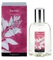 perfume Santal