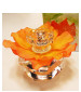 perfume Le Jardin des Sens