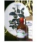 perfume Gardenia