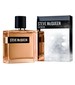 Steve McQueen Steve McQueen Extrem