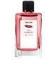 perfume No14 Rossetto