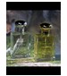Parfums et Senteurs du Pays Basque    Carla Bruni
