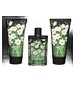 Nest White Narcisse