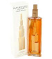 perfume Immense Pour Femme
