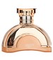 Lancetti Etre Special Edition IV