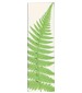 perfume Forest Lily