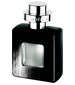 Pierre Cardin Emotion for Men