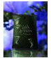 perfume Lolita Lempicka Au Masculin 2006