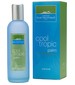 Comptoir Sud Pacifique Cool Tropic Palm