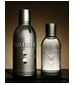 Hollister HCO22