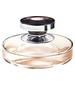 Massimo Dutti En Esencia
