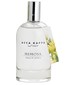 perfume Mimosa
