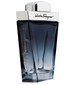 Salvatore Ferragamo Subtil Pour Homme