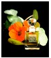 DSH Perfumes Eau de Trianon (The Perfumed Court; Natural)