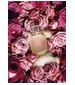 Une Folie de Rose