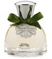 perfume Verbena Flower