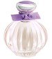 American Beauty Beloved Purple Blossom