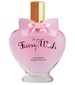 Love Passport Fairy Wish
