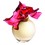 Lalique Lalique Edition Limitee 2011