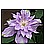 Bud Parfums Fleur De Lilac