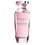Yves Rocher Rose Absolue  