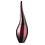 Oriflame Enigma
