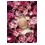 Les Parfums de Rosine Une Folie de Rose