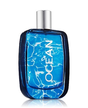 Ocean Bath and Body Works for men