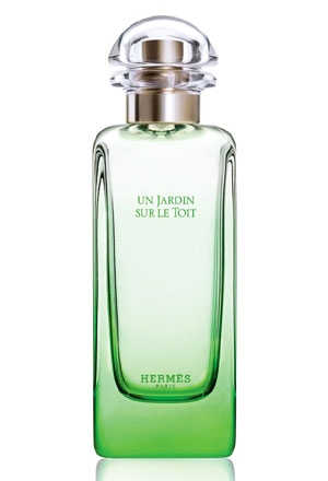 Perfumes & Cosmetics: Perfume fashion