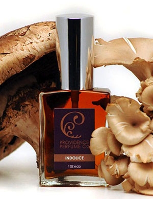 Indolice Providence Perfume for women