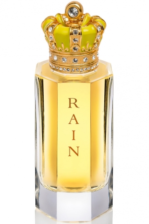 Rain Royal Crown for men