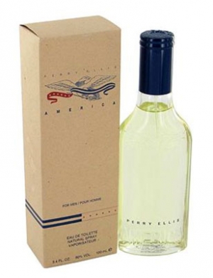 America for Men Perry Ellis for men