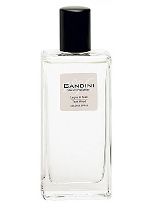 Teak Wood Gandini 1896 for women and men