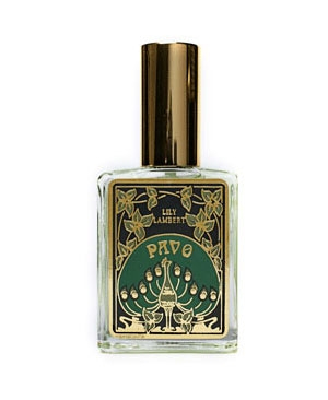 Pavo Lily Lambert for women