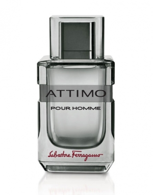 Attimo Pour Homme Salvatore Ferragamo for men