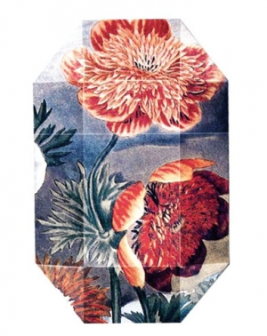Print Collection Stella 03 Stella McCartney for women