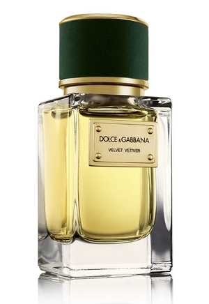 Velvet Vetiver Dolce&Gabbana for women and men