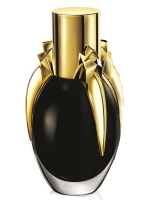 LADY GAGA FAME