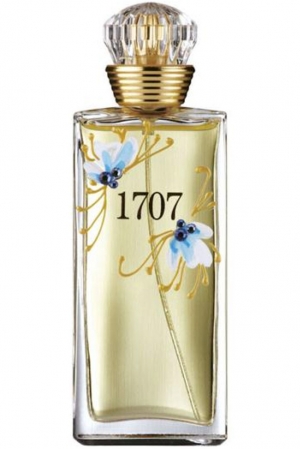 1707 Blue M. Micallef for women