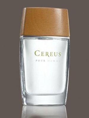 Cereus No.4 Cereus for men