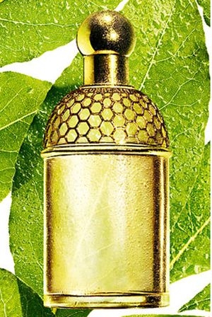 Aqua Allegoria Laurier - Reglisse Guerlain for women