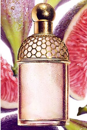 Aqua Allegoria Figue - Iris Guerlain for women