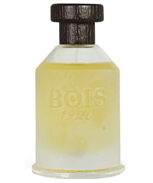 Vetiver Ambrato Bois 1920 for women and men