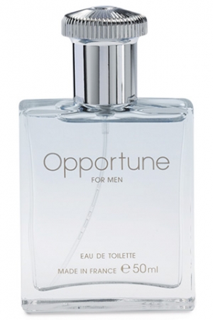 Opportune Amway for men