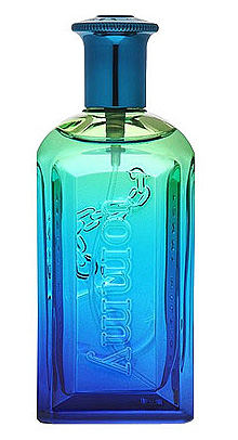 Tommy Summer Cologne 2006 Tommy Hilfiger for men