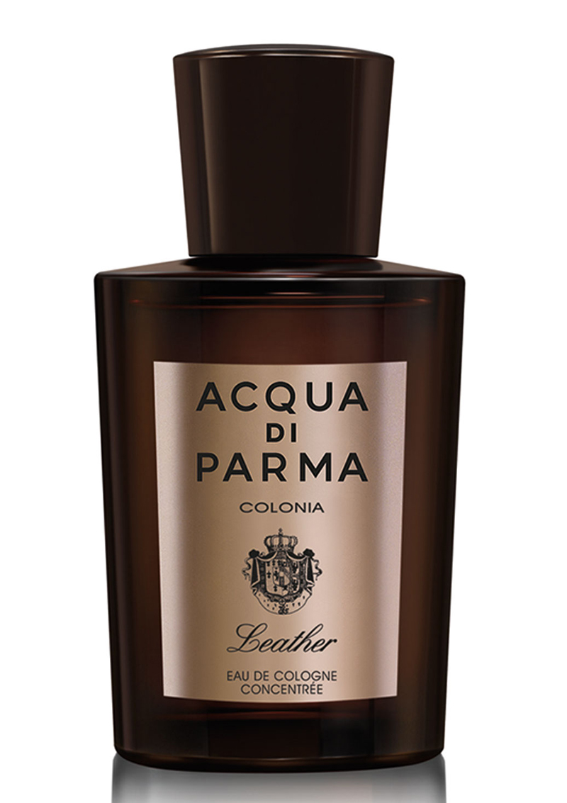Leather by Acqua Di Parma 2014 Citrus opening followed